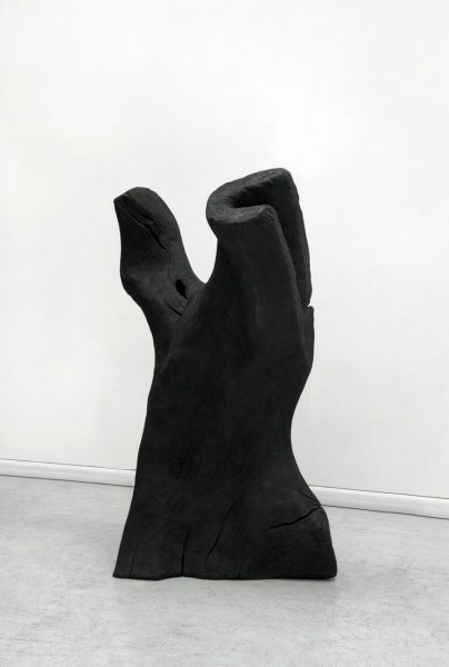 David Nash, "Torso", 2011 - bronze - ex. 1/4 - Collection Géotec, achat 2012