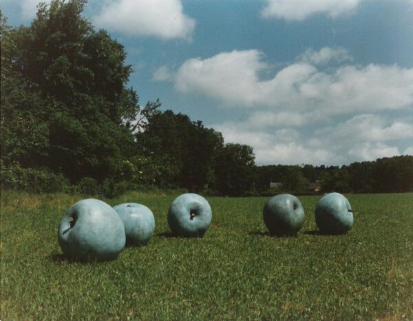 Ernst Kapatz, "Cinq pommes", 1991 - bronze patine bleue - ex. 1/8 - Collection Géotec, achat 2017